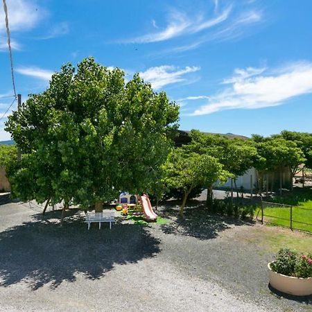Agriturismo Case Nuove คาสเตลลินา มาริตติมา ภายนอก รูปภาพ