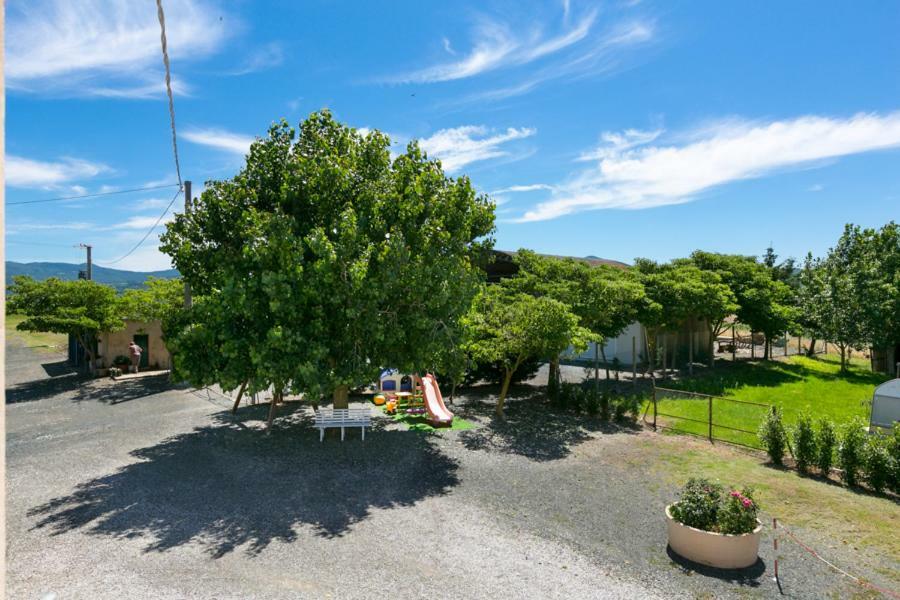 Agriturismo Case Nuove คาสเตลลินา มาริตติมา ภายนอก รูปภาพ