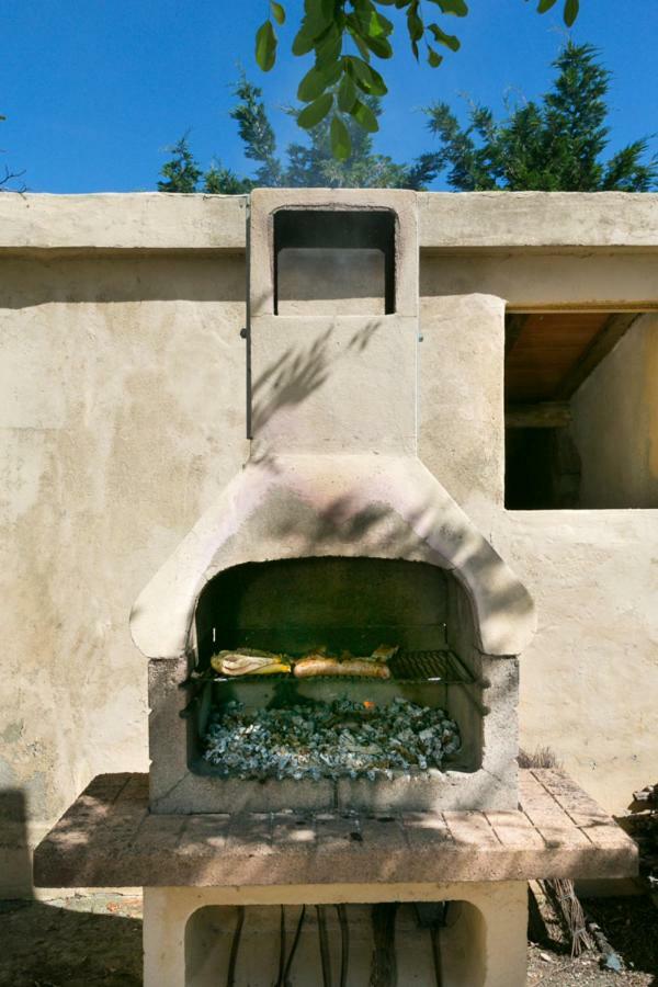 Agriturismo Case Nuove คาสเตลลินา มาริตติมา ภายนอก รูปภาพ